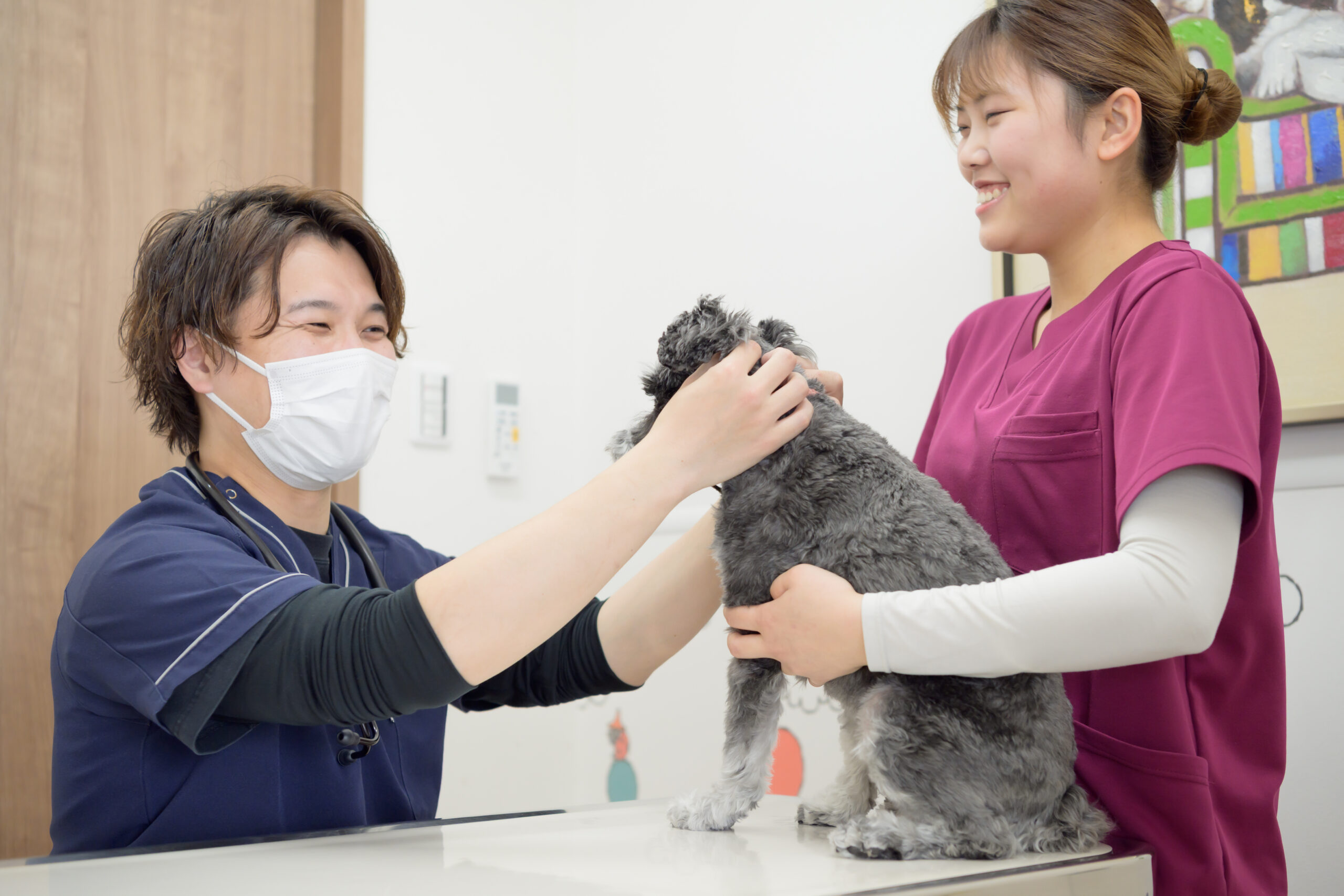 ESSE動物病院での診察の様子