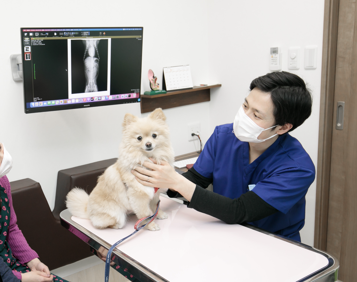 犬を診察する福間院長
