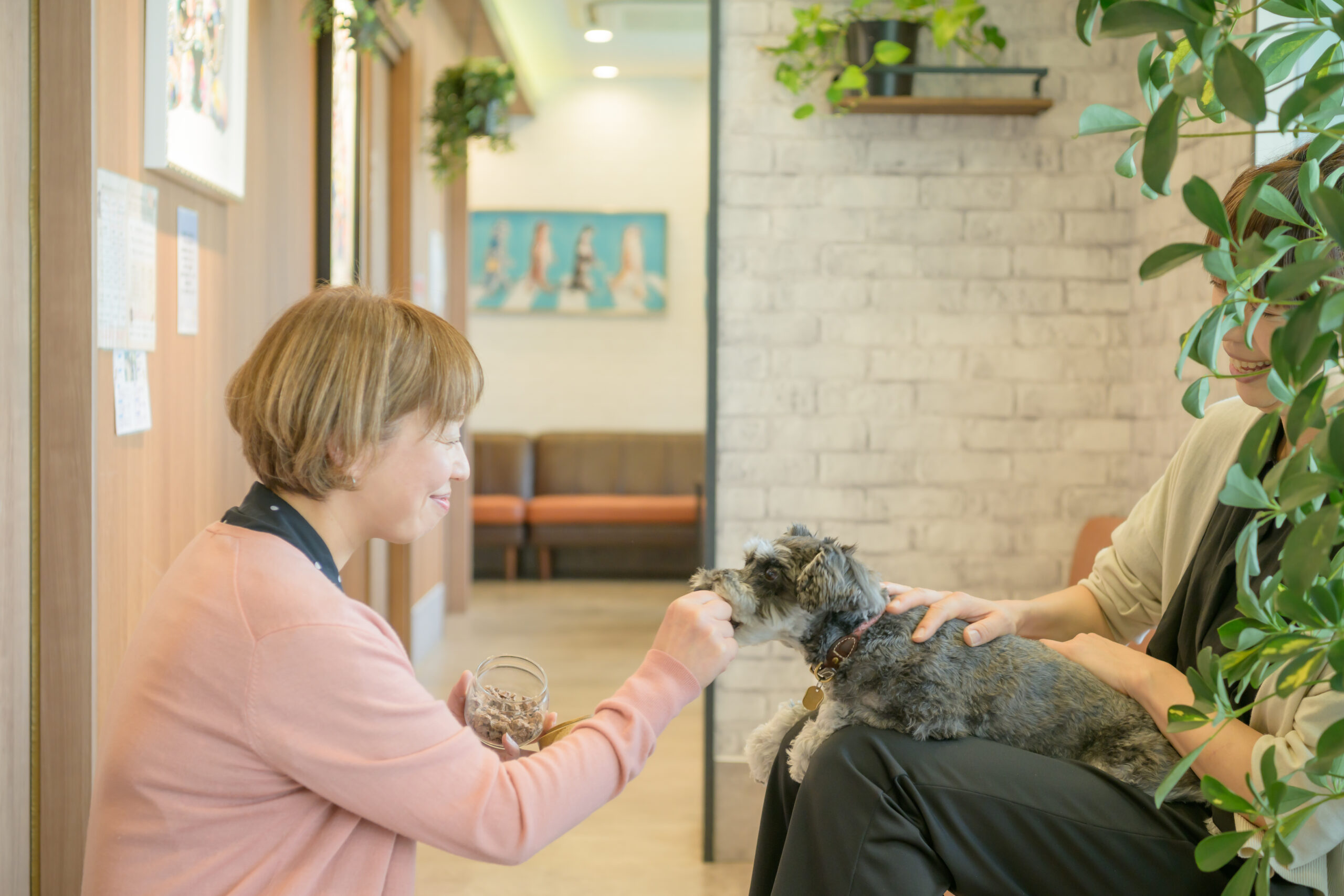 飼い主と談笑しながら犬にごはんをあげる動物看護師